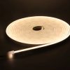 Neon LED şerit 5metre (Sıcak beyaz) LED zincir bandı hortum esnek dekoratif aydınlatma ışık 12V 10W (1. Gen.) 01