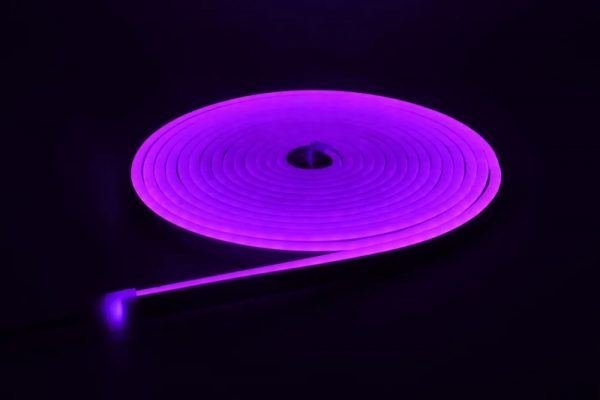 Neon LED şerit 5metre (Mor) LED zincir bandı hortum esnek dekoratif aydınlatma ışık 12V 10W (1. Gen.) 01